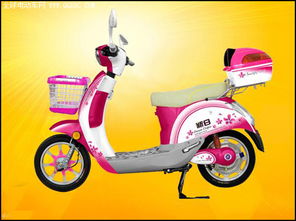 新日電動(dòng)車的營(yíng)銷邏輯 驅(qū)動(dòng)電動(dòng)自行車銷售的增長(zhǎng)引擎